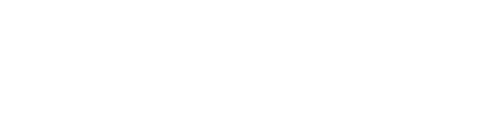 Vigilant Fiber Logo